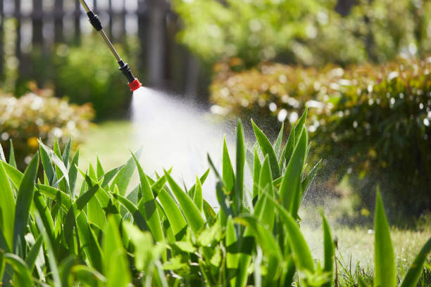 Tamper-Resistant Bait Stations for Rodents in Morrilton