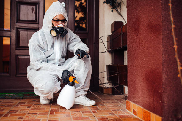 Attic and Crawl Space Rodent Treatment in Morrilton
